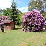 Cabana De Campo