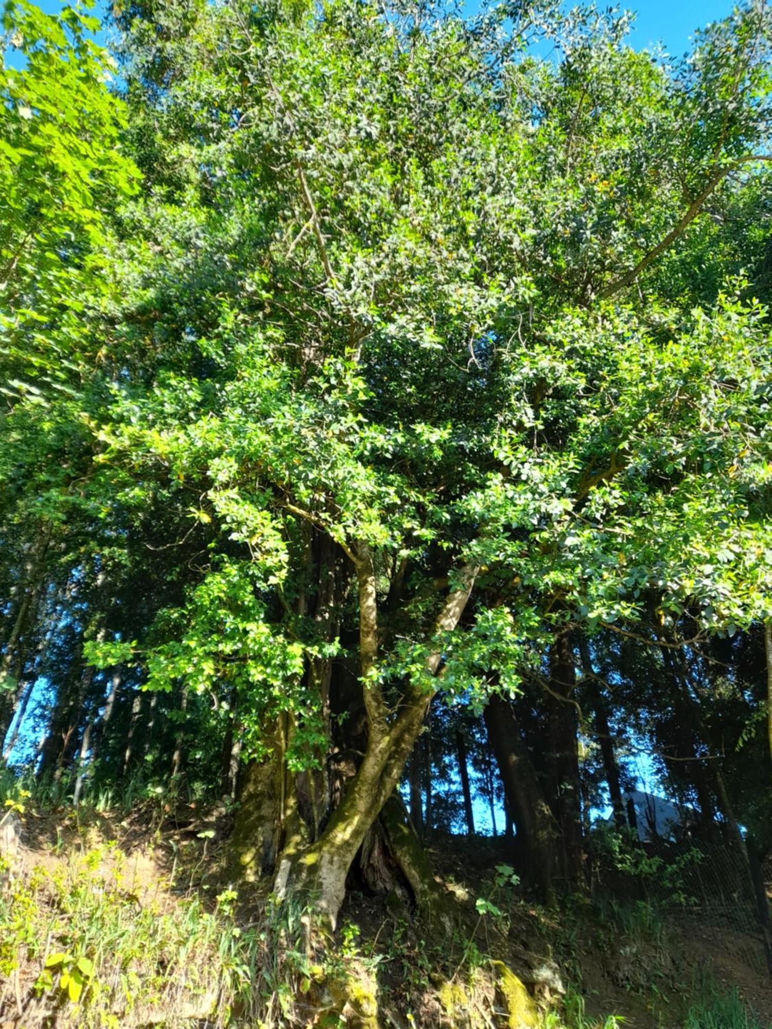 De Campo Casa de férias *